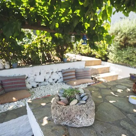Vila Labyrinth. The Wild Life Of Crete Katsifarianá