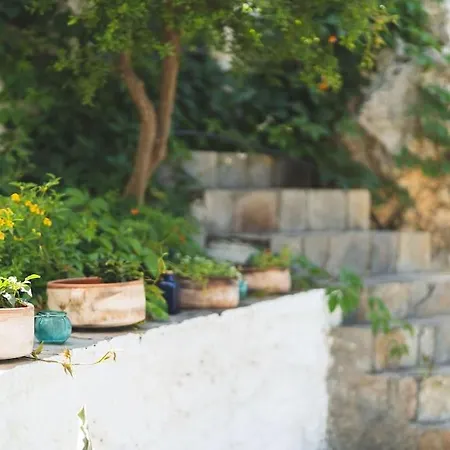 Labyrinth. The Wild Life Of Crete *